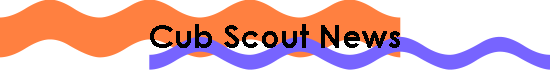 Cub Scout News