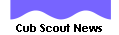 Cub Scout News